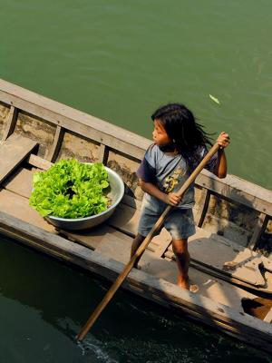 Lettuce Gatherer - Southern Laos