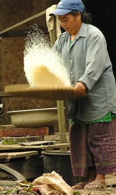 Rice Sifting - Southern Laos