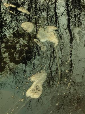 Story of the River