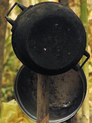 Outdoor Kitchen