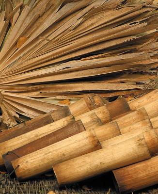 Date Sugar Catch Bamboo
