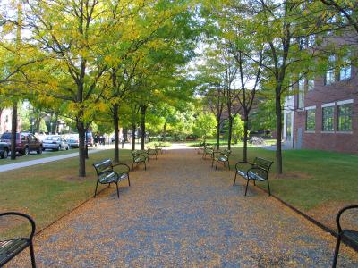 Early Fall Benches
