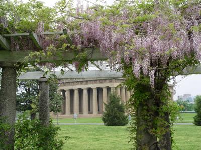 The Parthenon, through the Hanging Gardens