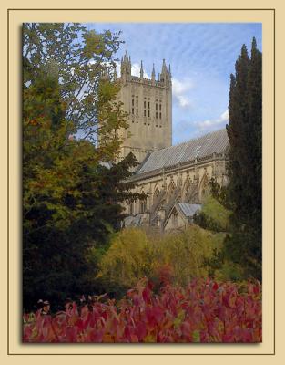 Through the trees, Wells Cathedral