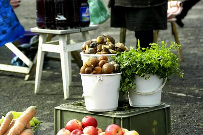 farm stand - road to rakhiv