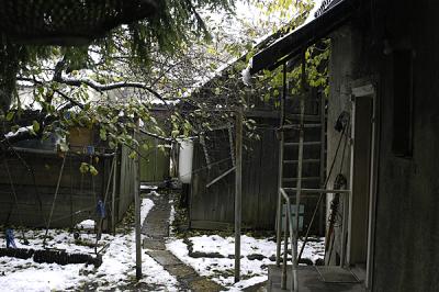 irina's yard in rakhiv