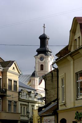 roman catholic church