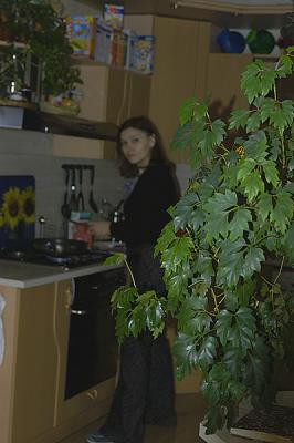 erika in her kitchen