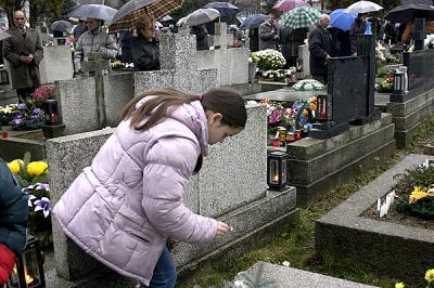 cemetery on remembrance day