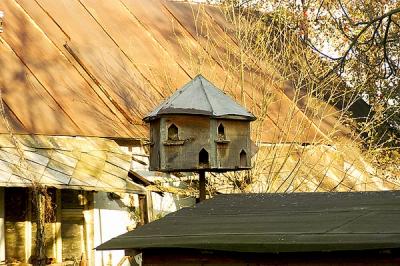 pigeon house