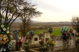 remembrance day decor