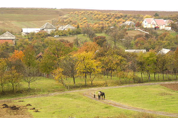 view from the hillside
