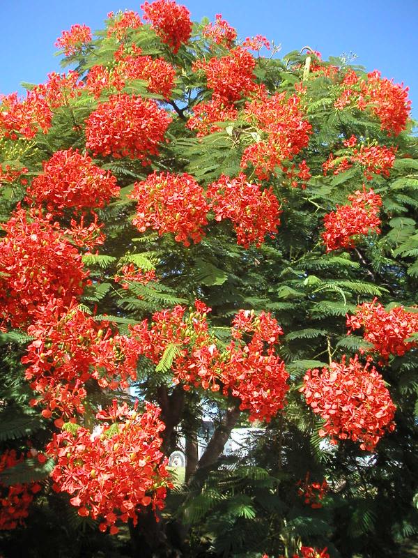 PICT0081.JPG
