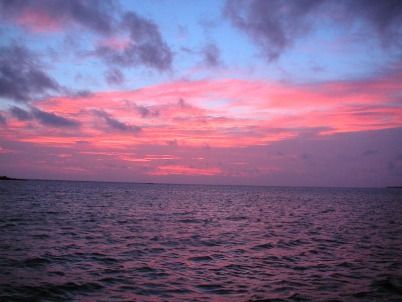 PICT0119.JPG