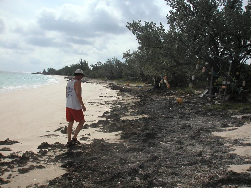 PICT0122.JPG