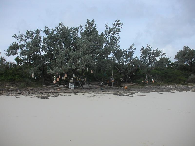 PICT0128.JPG