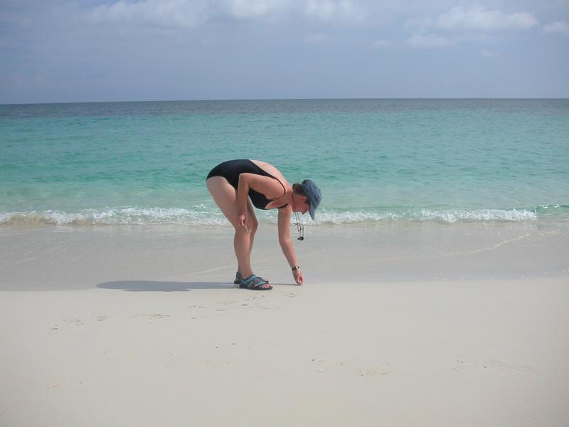 PICT0129.JPG