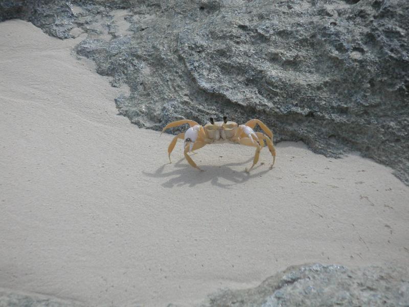 PICT0130.JPG