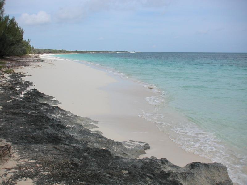 PICT0131.JPG