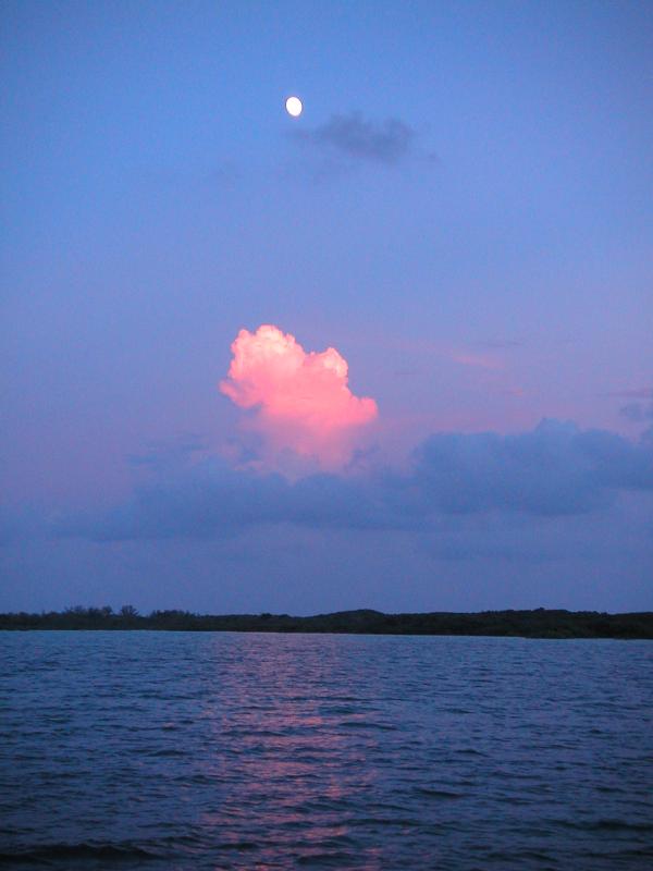 PICT0132.JPG