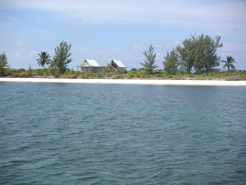 PICT0144.JPG