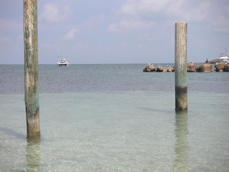 PICT0154.JPG