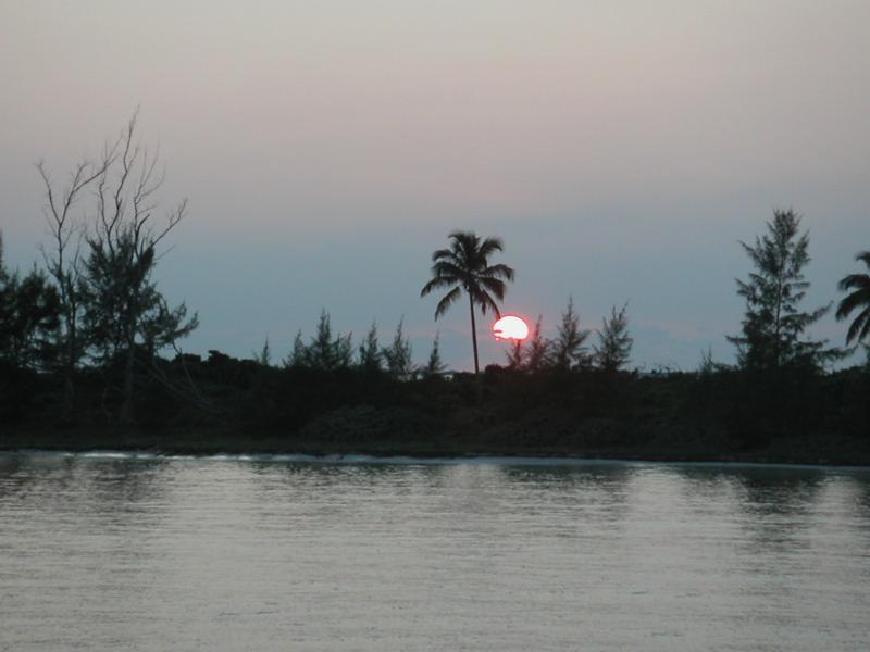 PICT0170.JPG