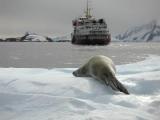 Antarctica Travelog (Part 1)