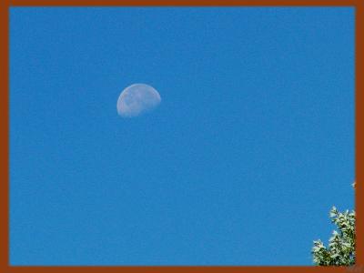 Todays morning moon.jpg