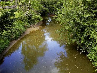 Muddy creek reflection.jpg(361)