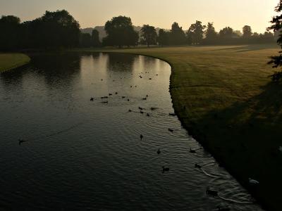 Morning Swim ~ Slartibartfast