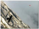 5th: Fly Up&Down by Fritz Kurt