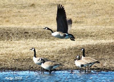 'and we have ... LIFT OFF!!!'