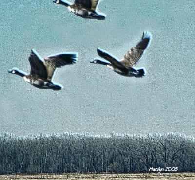 'up, up and ... away!!!'