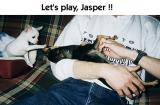 Jasper & Jasmine 5