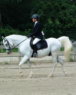 Lynelle and Ben in Dressage