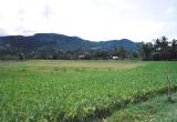 Suoi Tien. Nha Trang