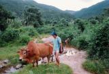 Suoi Tien. Nha Trang
