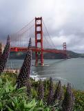 Golden Gate