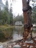 Merced River