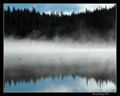 Morning - Goldeye Lake