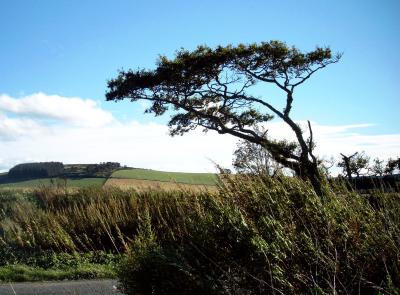 1st October windy spot...