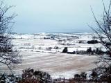 from Iron Age hut circle