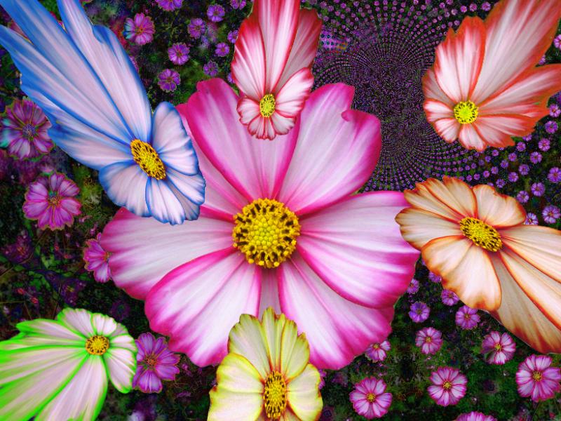 cosm001a.jpg
