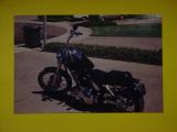 Brecks Harley<br>soft tail chopper