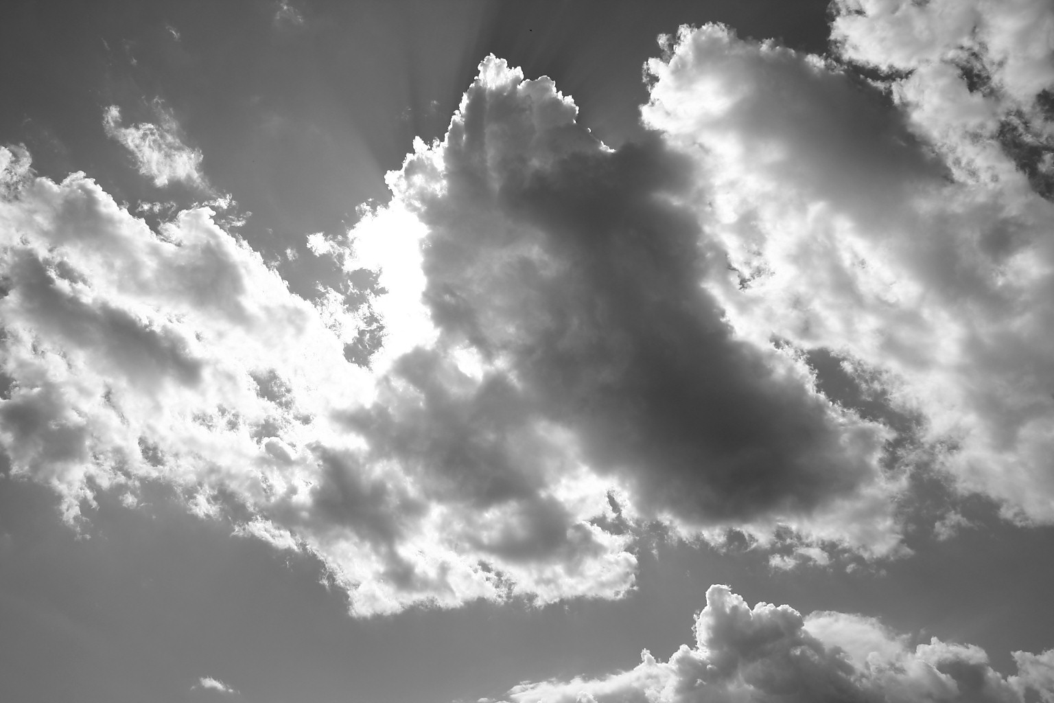 sunny-day2-bw.jpg