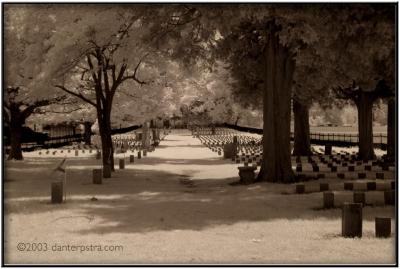Infra-red Cemetary 2