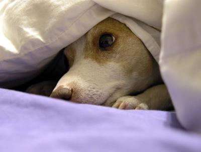 4th Place Tie Is it really time to get up? by: hammertime