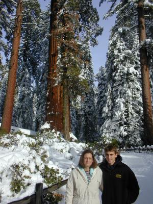 Kings Canyon - Giant Redwood Trees