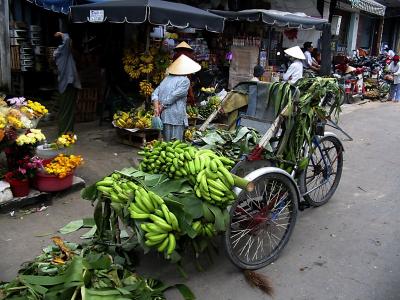 back in danang city, on the market street, don't see so many peddle cyclos there except it seems as a vehicle for loads of things that won't fit on motos/mopeds